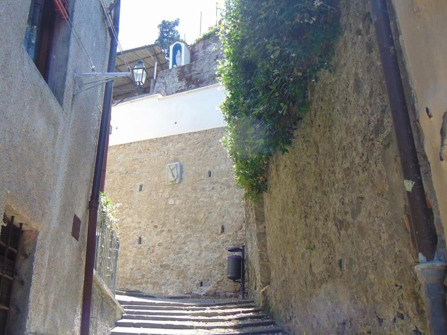Rustico San Jacopo Villa Gallicano Exteriör bild
